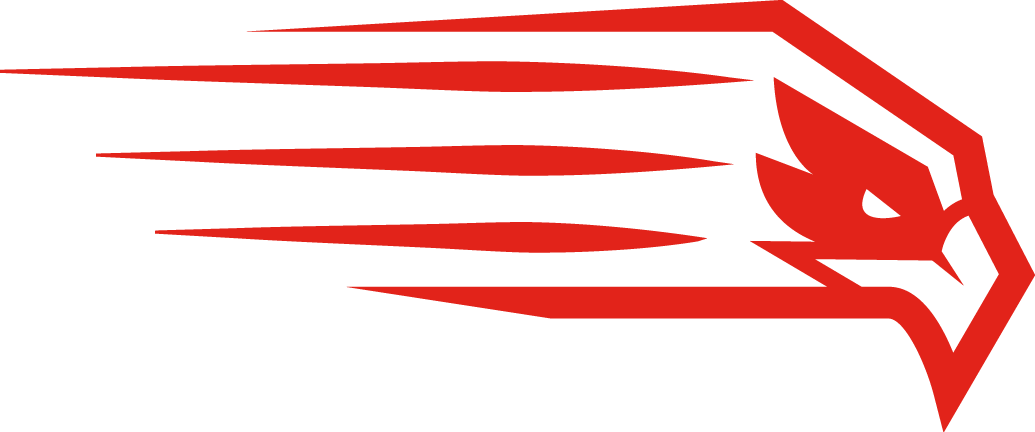 Hartford Hawks 2015-Pres Alternate Logo v5 diy iron on heat transfer